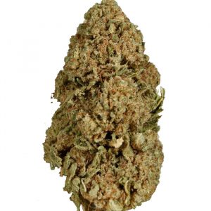 Jack Herer